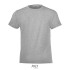 REGENT F kind t-shirt 150g - grijs melange